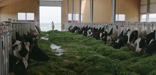 All For The Countryside - 