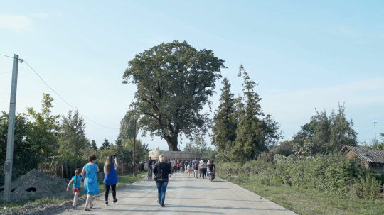 TAMING THE GARDEN opens in German cinemas